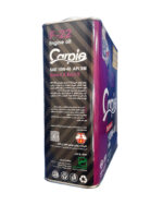 روغن موتور کارپیه F22 10w40 (پنج لیتری) SM - Image 3