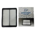 فیلتر هوا سانگ یانگ تیوولی